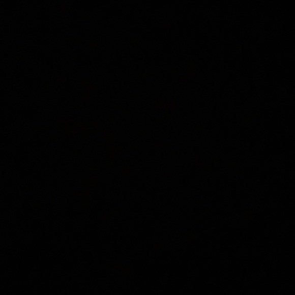 michelle500_